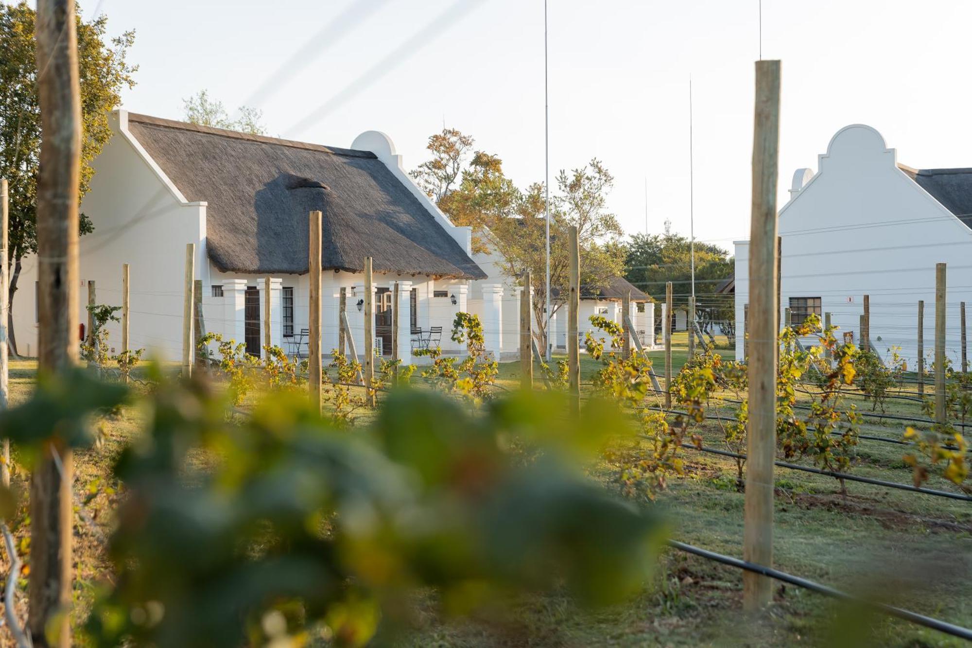 Kievits Kroon Gauteng Wine Estate Pretoria Luaran gambar